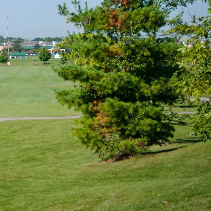 Gray Eagle Golf Club & Academy - Photo 3